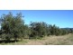 189 Burrundulla Road, Mudgee NSW 2850