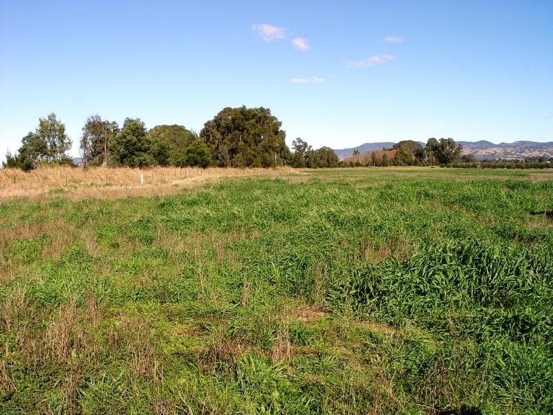 189 Burrundulla Road, Mudgee NSW 2850