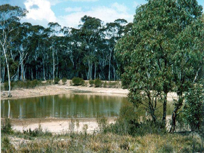 468 WILLIAMS DRIVE, Windellama NSW 2580