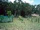 468 WILLIAMS DRIVE, Windellama NSW 2580