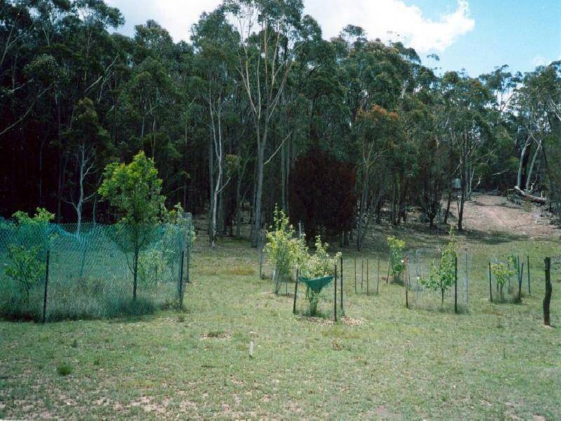 468 WILLIAMS DRIVE, Windellama NSW 2580
