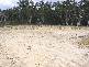 324 MULWAREE DRIVE, Tallong NSW 2579