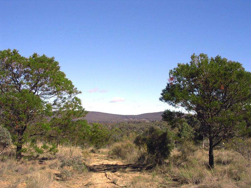 604 LUCKY PASS ROAD, Currawang NSW 2580