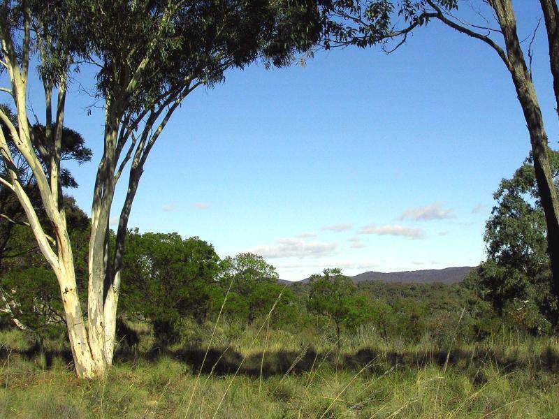 604 LUCKY PASS ROAD, Currawang NSW 2580