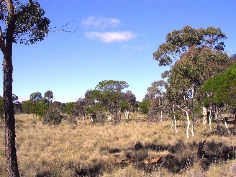 604 LUCKY PASS ROAD, Currawang NSW 2580