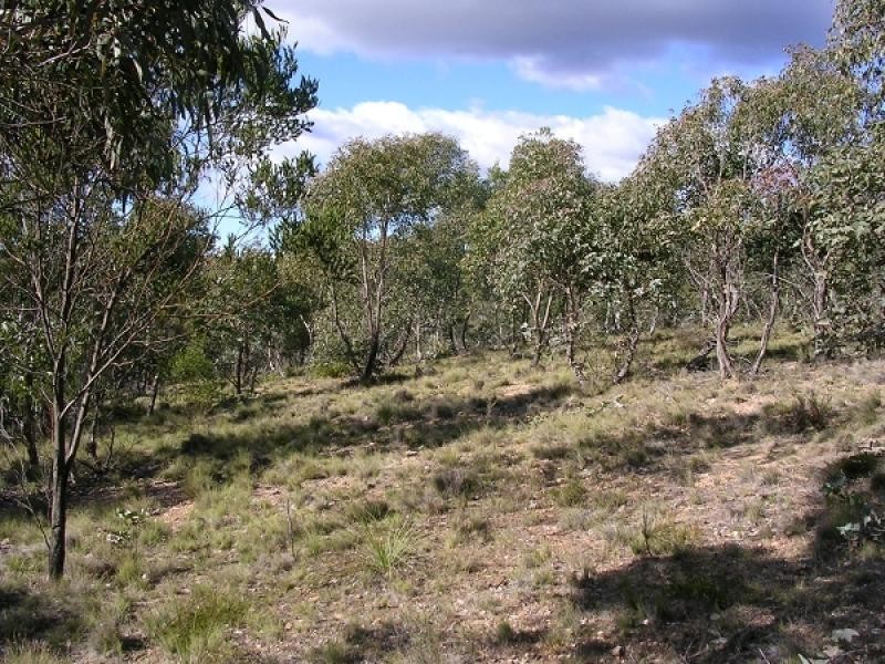 Oallen NSW 2622