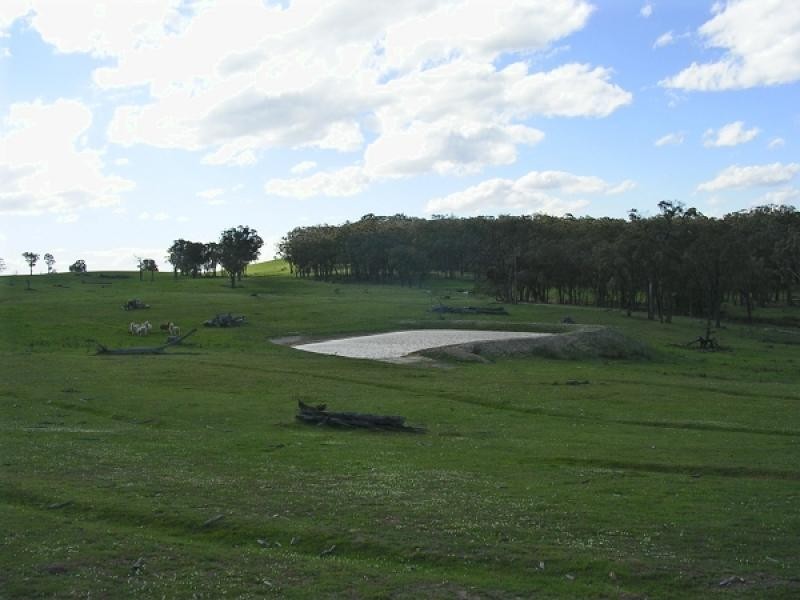 SYLVIAVALE RD, Binda NSW 2583