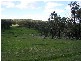 SYLVIAVALE RD, Binda NSW 2583