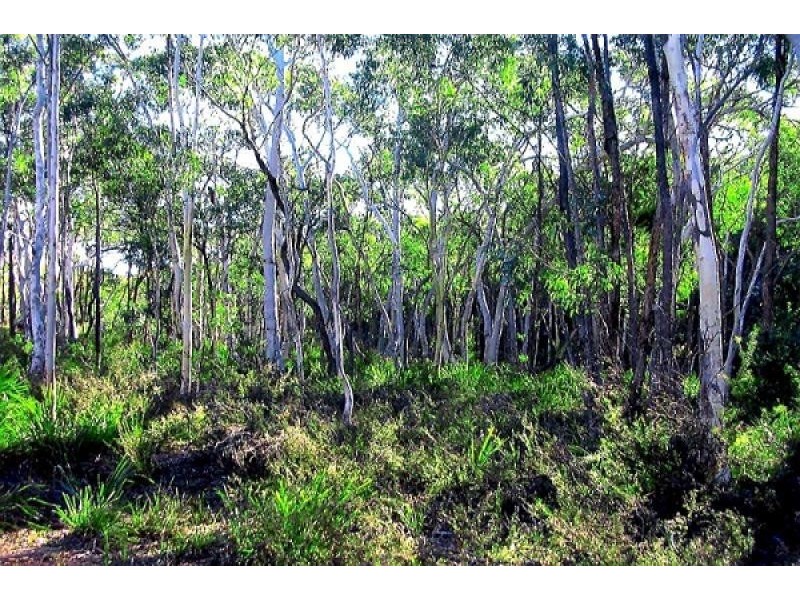 Towrang NSW 2580
