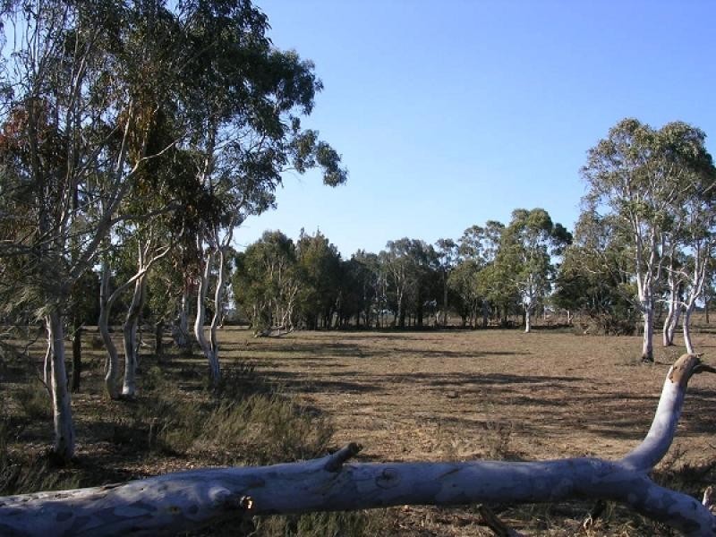 296 Fernleigh Close Windellama, Goulburn NSW 2580