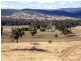 Bonshaw NSW 2361
