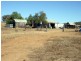 Bonshaw NSW 2361
