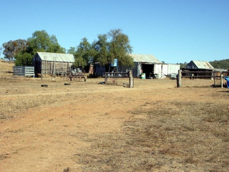 Bonshaw NSW 2361