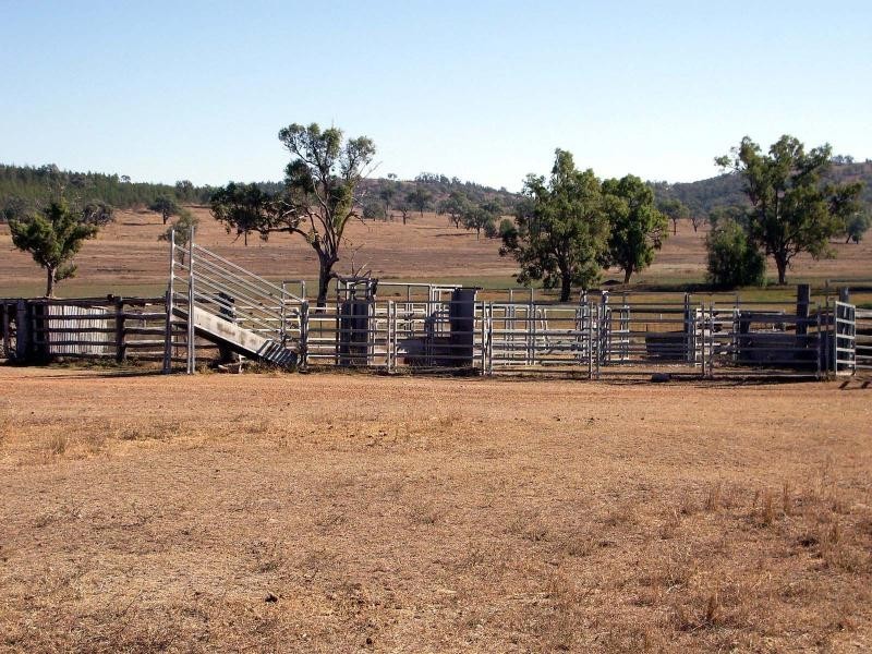 Bonshaw NSW 2361