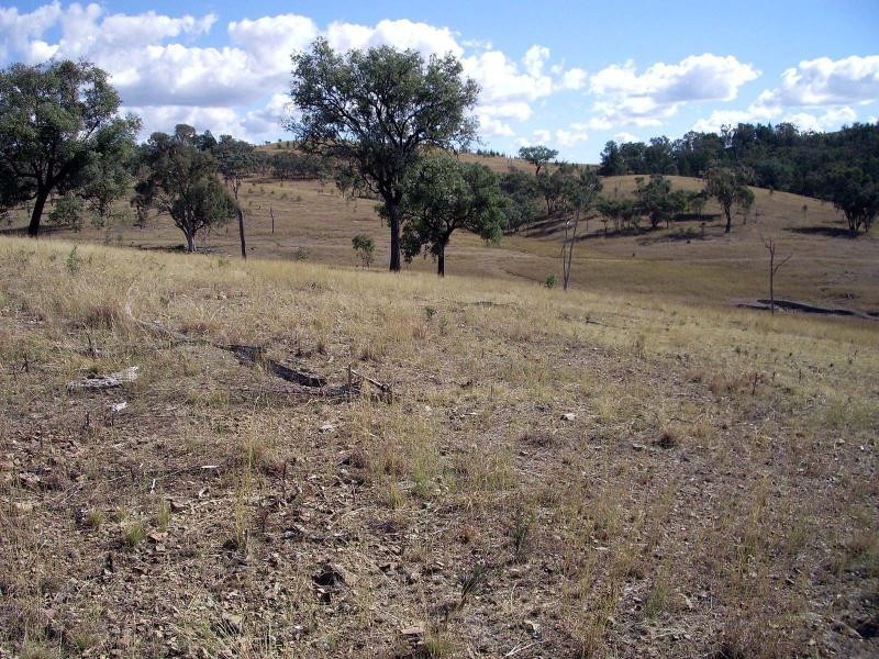 Bonshaw NSW 2361