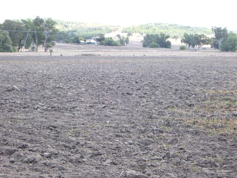 Bonshaw NSW 2361