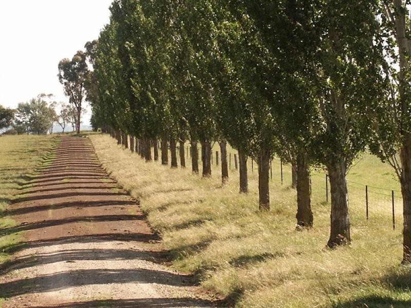 215 GLEN LEGH, Glen Innes NSW 2370