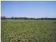 Emmaville NSW 2371
