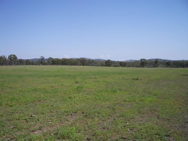 Emmaville NSW 2371