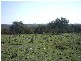 Emmaville NSW 2371