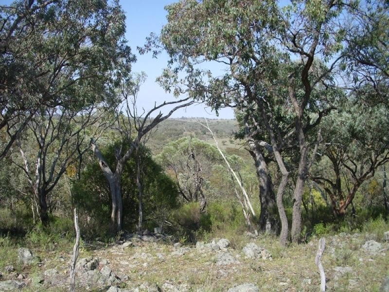 Emmaville NSW 2371