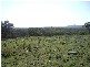 Emmaville NSW 2371