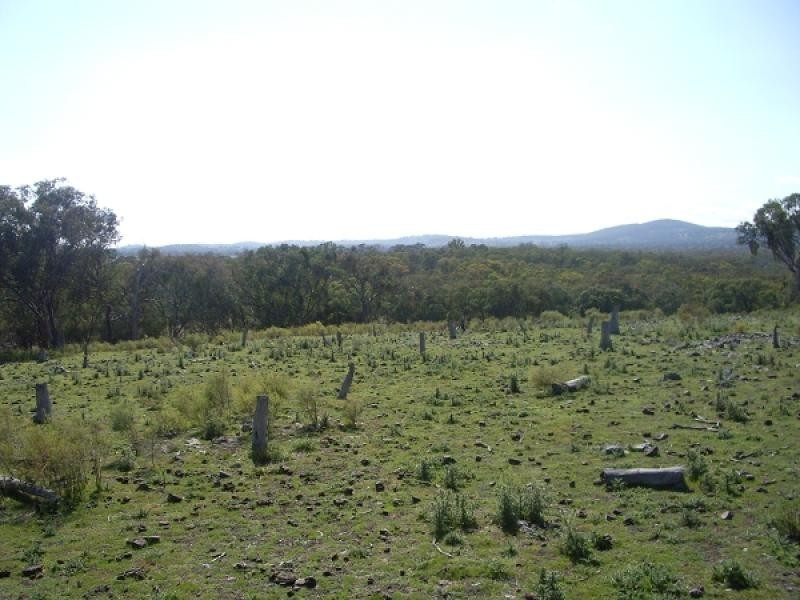 Emmaville NSW 2371