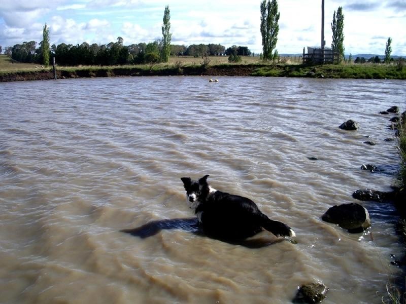 387 Shannonvale Road, Glen Innes NSW 2370