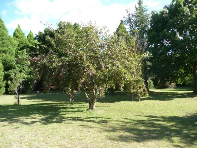 387 Shannonvale Road, Glen Innes NSW 2370