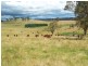 Glen Innes NSW 2370