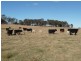 Guyra NSW 2365