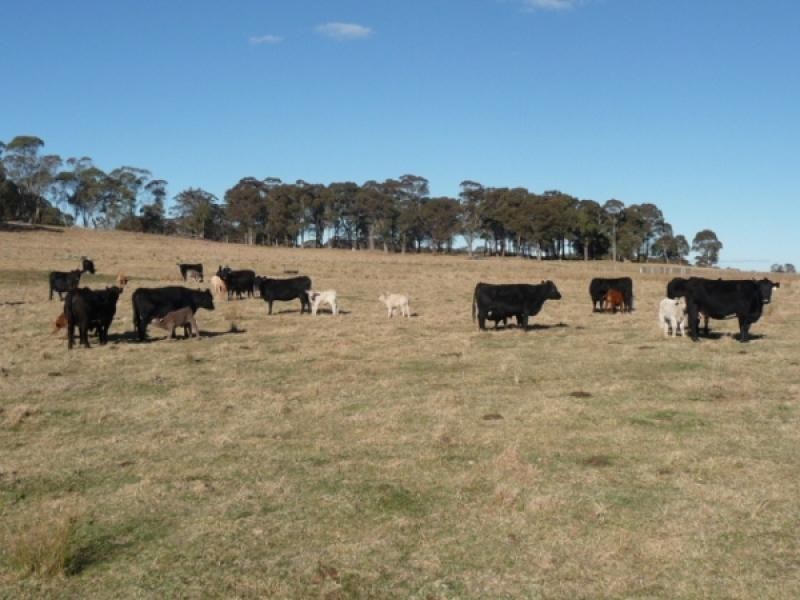 Guyra NSW 2365