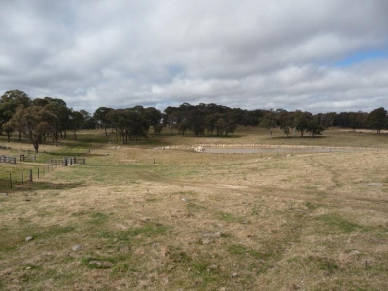 Guyra NSW 2365