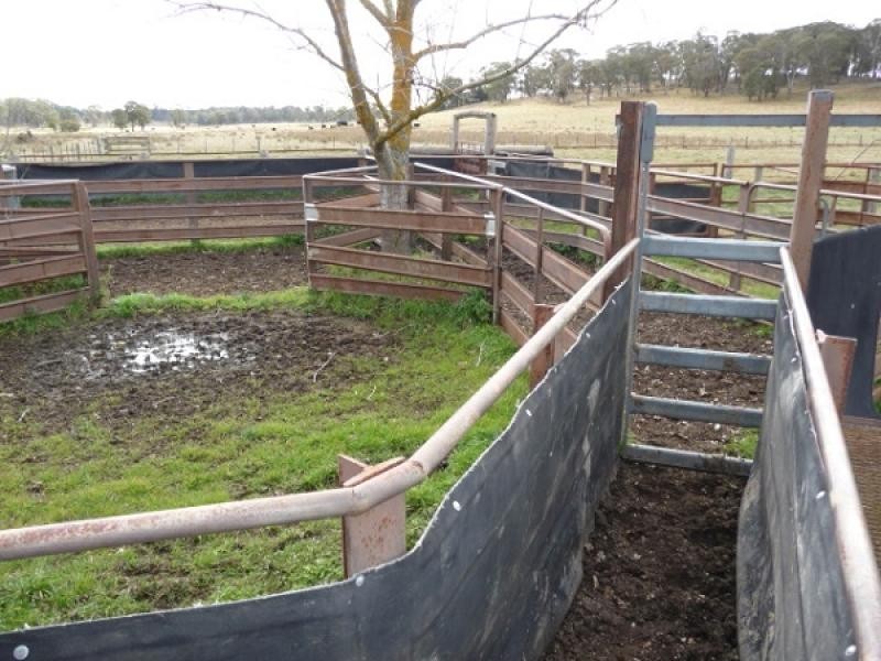 Guyra NSW 2365