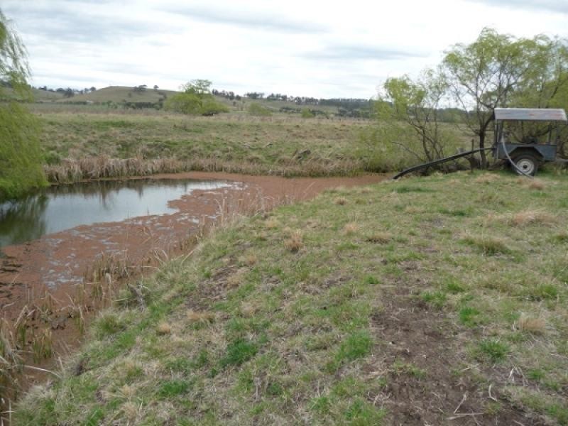 Glen Innes NSW 2370