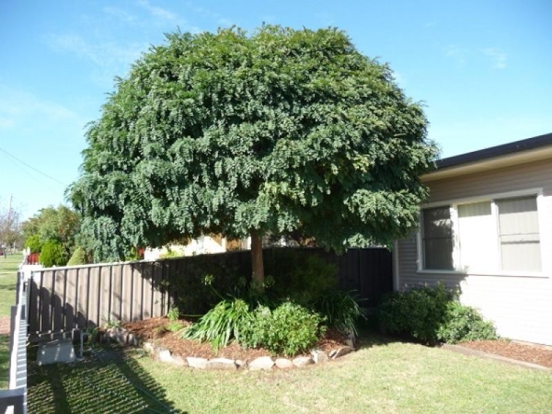 Glen Innes NSW 2370