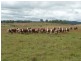 Glen Innes NSW 2370