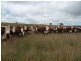 Glen Innes NSW 2370