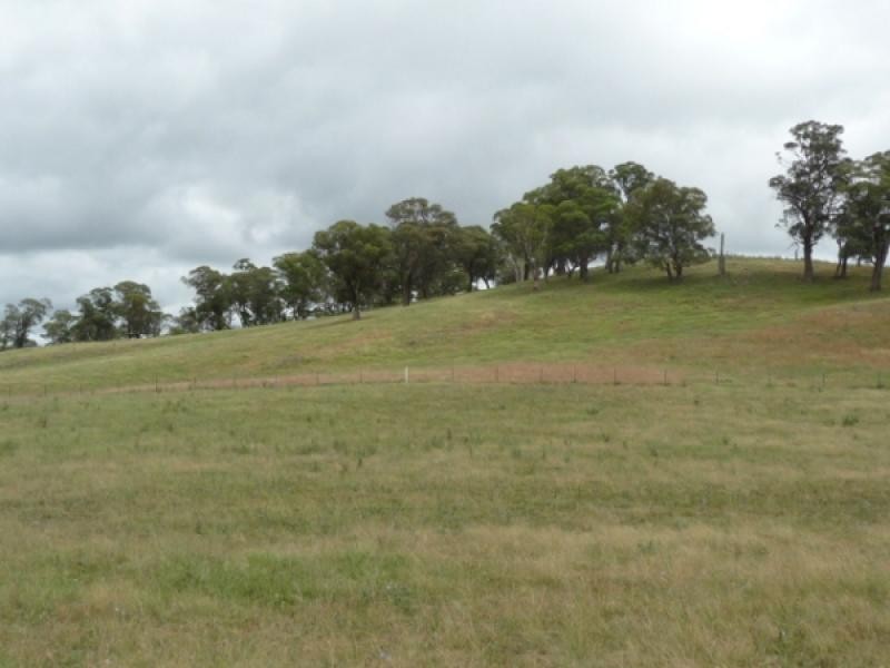 Glen Innes NSW 2370