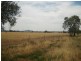 Warrumbungle NSW 2828