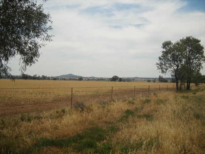 Warrumbungle NSW 2828