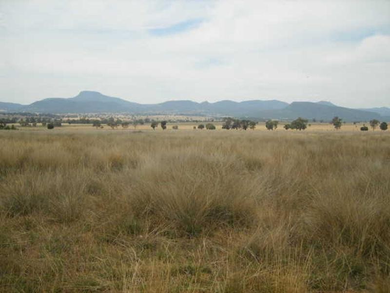Warrumbungle NSW 2828