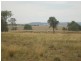 Warrumbungle NSW 2828