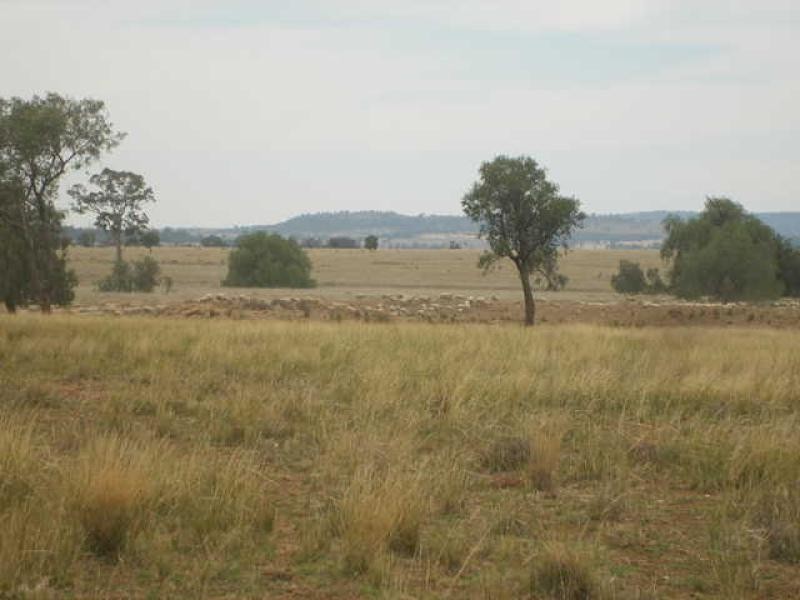 Warrumbungle NSW 2828