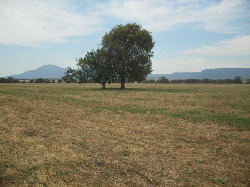 Warrumbungle NSW 2828