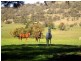 Tamworth NSW 2340