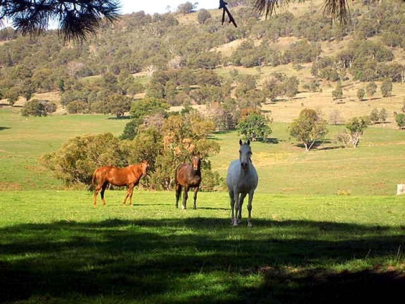 Tamworth NSW 2340