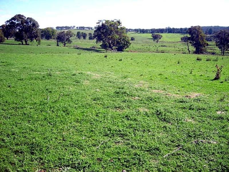 Tamworth NSW 2340