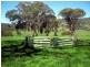 Tamworth NSW 2340
