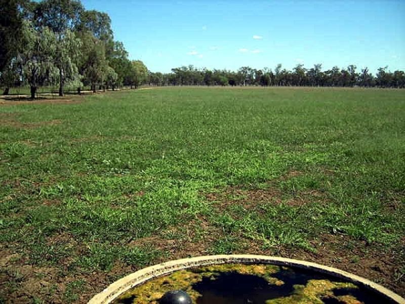 Gunnedah NSW 2380